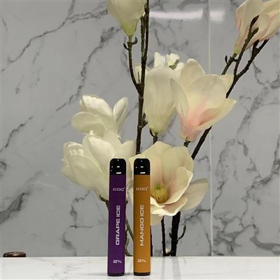 600 Puff Fruit Flavor Engangs Vape Pen